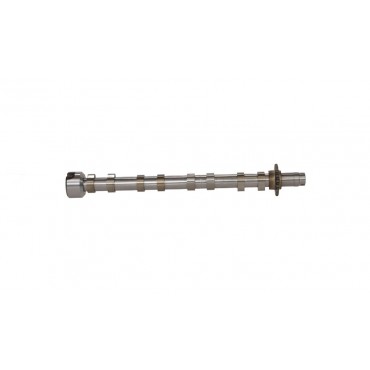 Arbre à came Pour Peugeot Ford Citroën DS 9804424280 1871343 D7SQ6A273BA