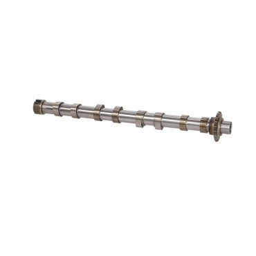 Arbre à came Pour Peugeot Ford Citroën DS 9804424180 1871342 D7SQ6A270BA