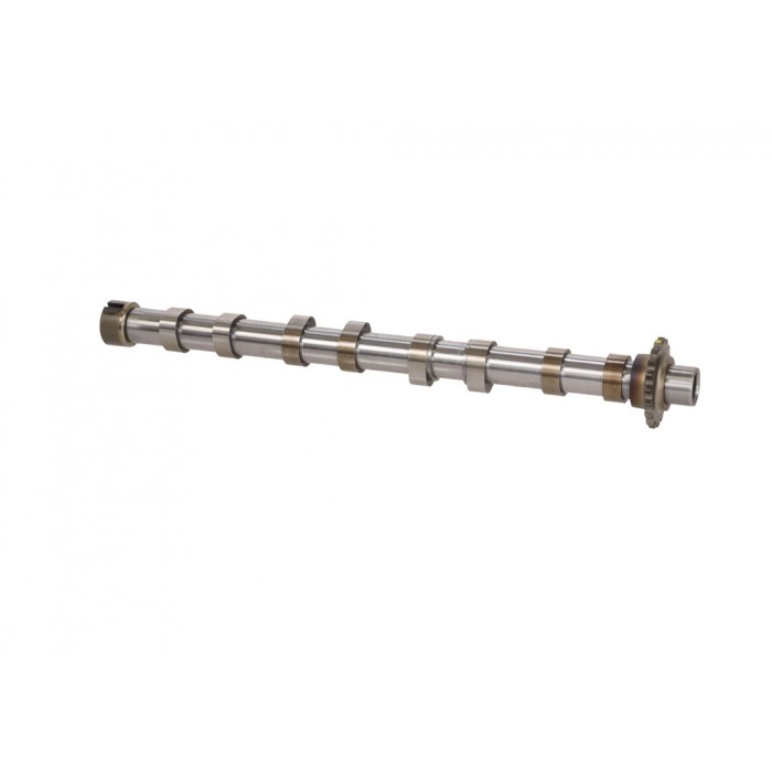 Arbre à came Pour Peugeot Ford Citroën DS 9804424180 1871342 D7SQ6A270BA