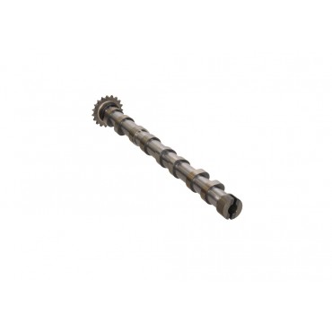 Arbre à came Pour Peugeot Ford Citroën DS 9804424180 1871342 D7SQ6A270BA
