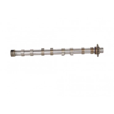 Arbre à came Pour Peugeot Ford Citroën DS 9804424180 1871342 D7SQ6A270BA