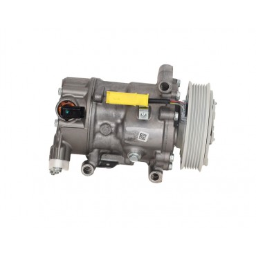 Compresseur de Clim Pour Peugeot Citroën DS 9684960280 6453QJ 1607424980 6453QK