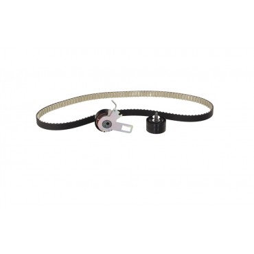 Kit de Distribution Pour Peugeot 308 II 1699666580