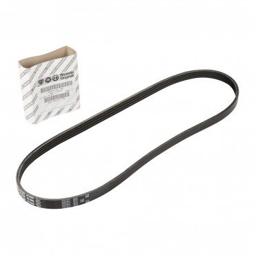 Courroie d'Accessoire Pour Fiat Ducato Iveco Daily Citys III IV V VI