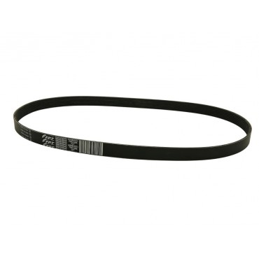 Courroie d'Accessoire Pour Mercedes-Benz Honda Iveco 0119976992 31110PRA013