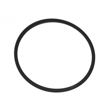 Joint Torique de Roulement de Roue Arrière Pour Iveco Daily III 2991640 2991641