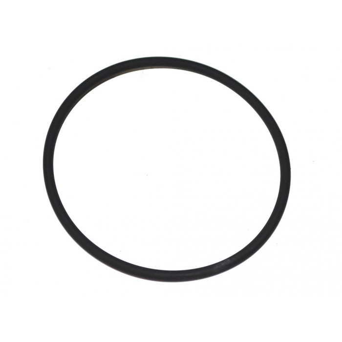 Joint Torique de Roulement de Roue Arrière Pour Iveco Daily III 2991640 2991641