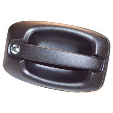 Poignée de Porte Extérieur Avant ou Arrière Gauche Pour Iveco 5801577663