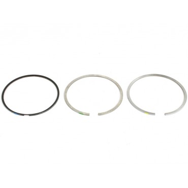 Segments de Piston Pour Peugeot Fiat Citroën Iveco 640V2 2995582 0640X5 640X5