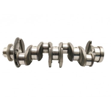 Vilebrequin Pour Iveco Daily VI 5801846065 5801846068