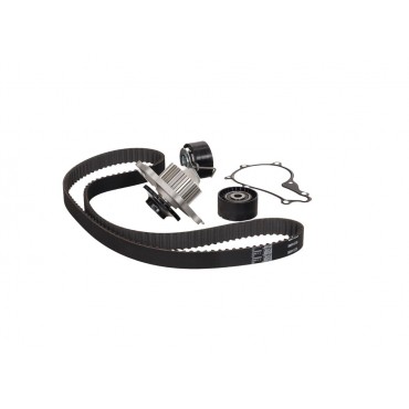 Kit de Distribution + Pompe à Eau Pour Peugeot Ford Fiesta V VI Toyota Citroën