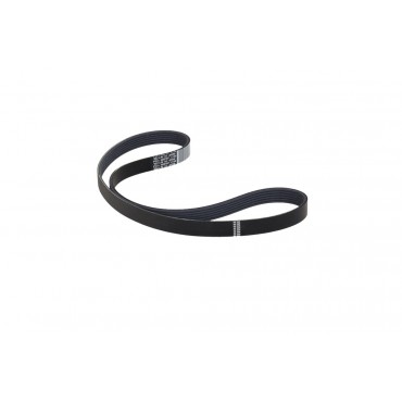 Courroie d'Accessoire Pour Peugeot 306 Renault Seat Fiat 7700853230 028260849L