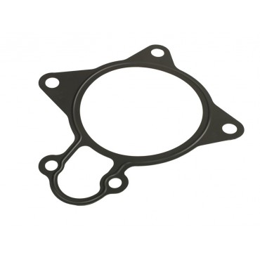 Joint de Pompe à Eau Pour Peugeot Fiat Auverland A5 Citroën 1206F1 504080013