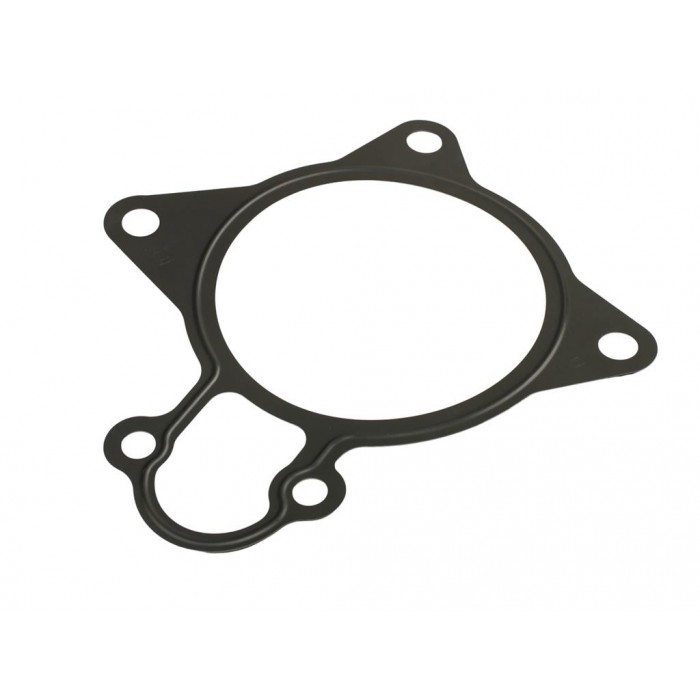 Joint de Pompe à Eau Pour Peugeot Fiat Auverland A5 Citroën 1206F1 504080013