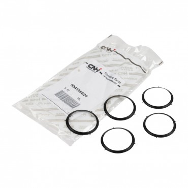Joint Torique Vanne EGR Pour Iveco Daily Citys VI 8099053