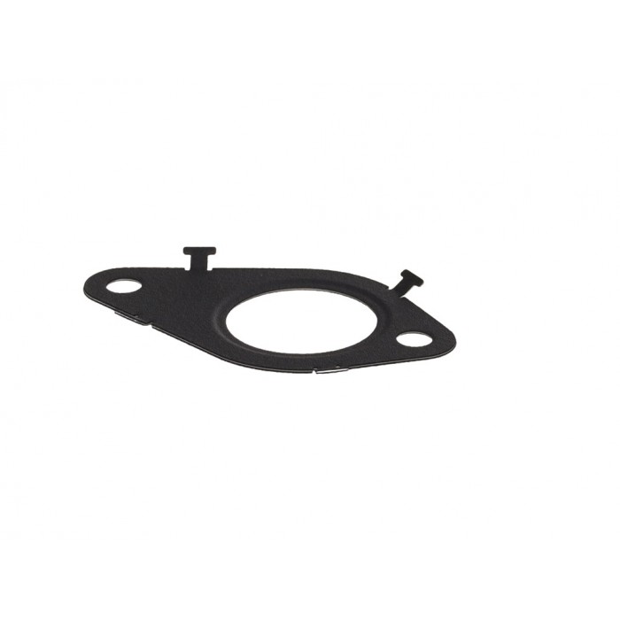 Joint Torique Vanne EGR Pour Iveco Daily Citys VI