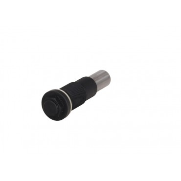 Tendeur Chaine de Distribution Pour Iveco 504019915, 580161803, 5801617803