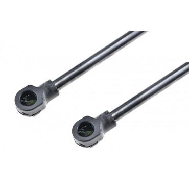 x2 Vérin Hayon de Coffre...