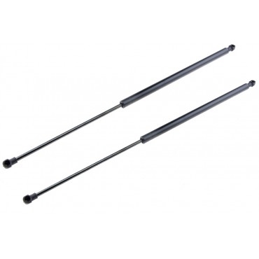 x2 Vérin Hayon de Coffre...