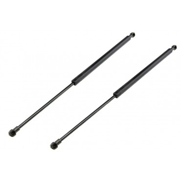 x2 Vérin Hayon de Coffre...