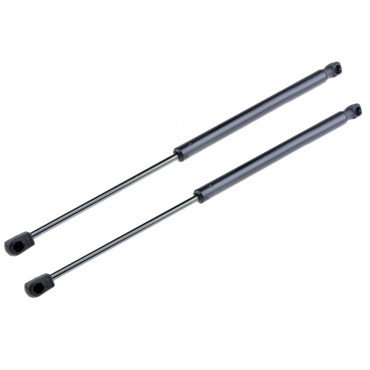 x2 Vérin Hayon de Coffre...