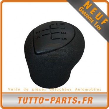 Pommeau Levier de Vitesse pour RENAULT Clio II Kangoo