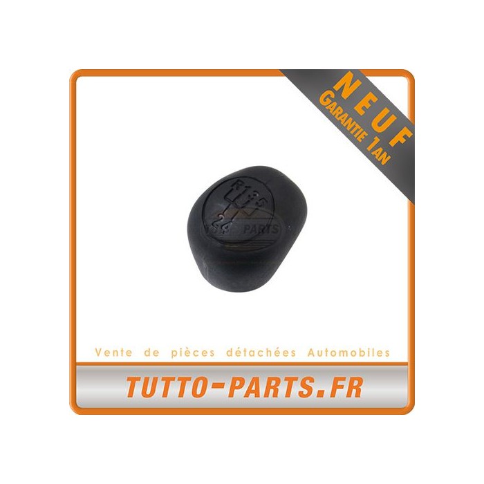 Pommeau de Vitesse pour CITROEN FIAT PEUGEOT