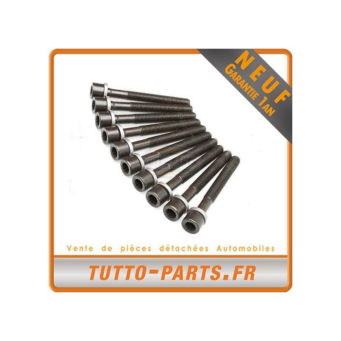 Lot 10 Vis de culasse pour AUDI SEAT VW