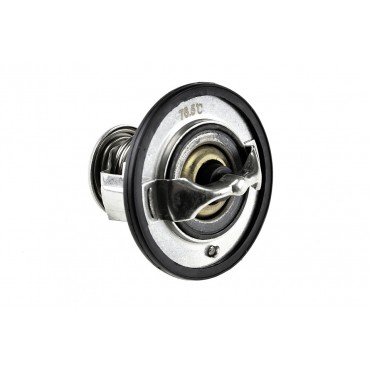 Thermostat D'eau Du Liquide...