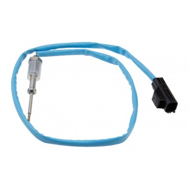 Sonde Température Gaz Pour...