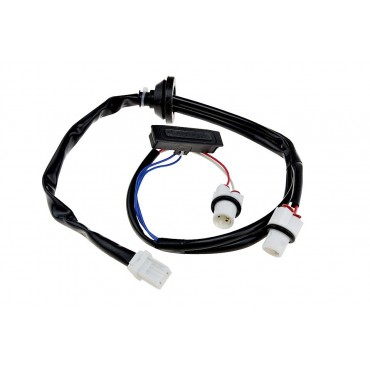 Bouton poignée de coffre...