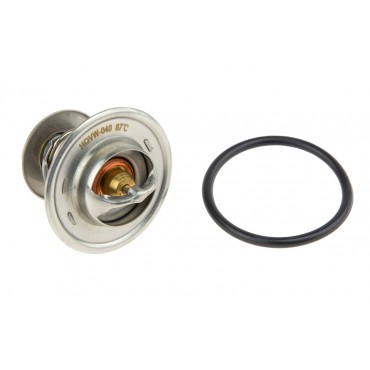 Thermostat d'eau Pour 100...