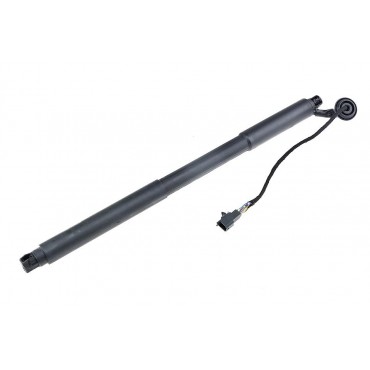 Vérin Hayon de coffre pour...