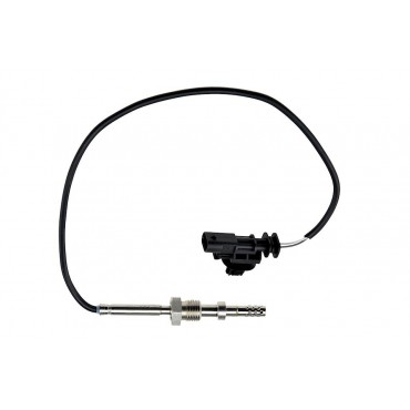 Sonde température gaz Pour...