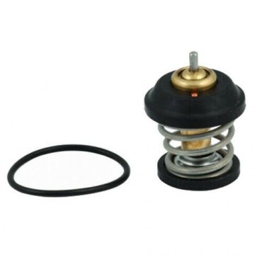 Thermostat d'eau Audi A3 A4...