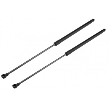 x2 Vérin Hayon de Coffre...