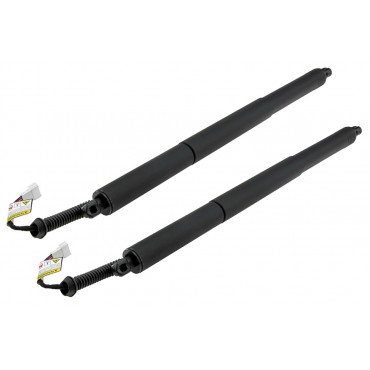 X2 Vérin Hayon De Coffre...