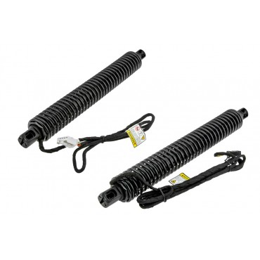 X2 Vérin Hayon De Coffre...