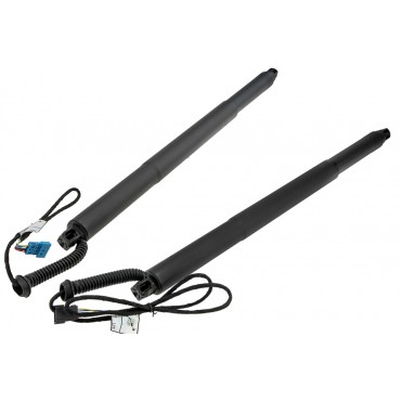 X2 Vérin Hayon De Coffre...