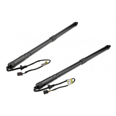 x2 Vérin Hayon de Coffre...