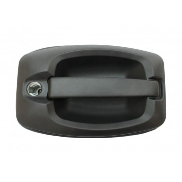 Poignée De Porte Avant...