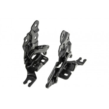 Charnière De Capot Gauche+droit Pour Bmw X3 F25 X4 F26 41617262875
