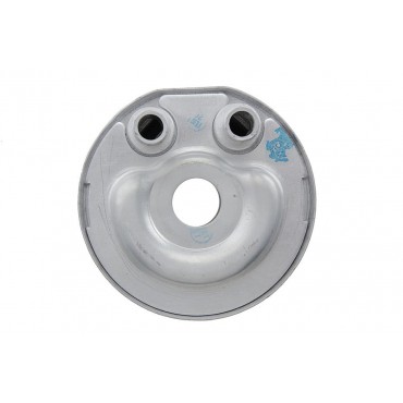 Radiateur Refroidisseur D'huile Pour Murano Np300 Navara Pathfinder 213055X00A