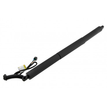 Vérin Hayon De Coffre...