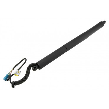 Vérin Hayon De Coffre...