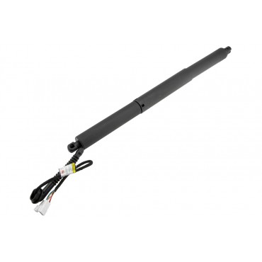 Vérin Hayon De Coffre...