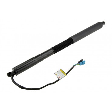 Vérin Hayon De Coffre...