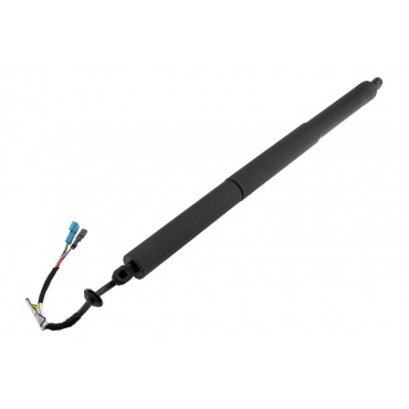 Vérin Hayon De Coffre...