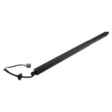 Vérin Hayon De Coffre...