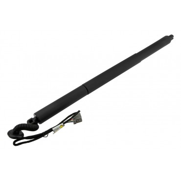 Vérin Hayon De Coffre...